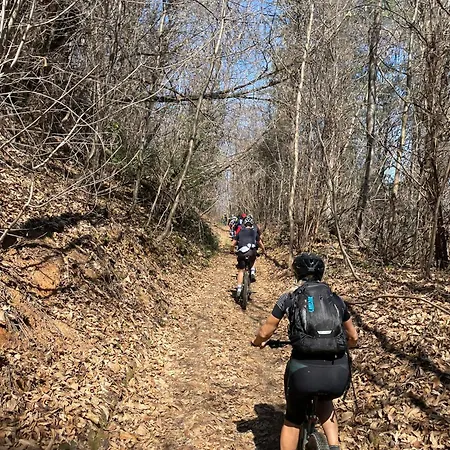 Oda ve Kahvaltı La Riunda