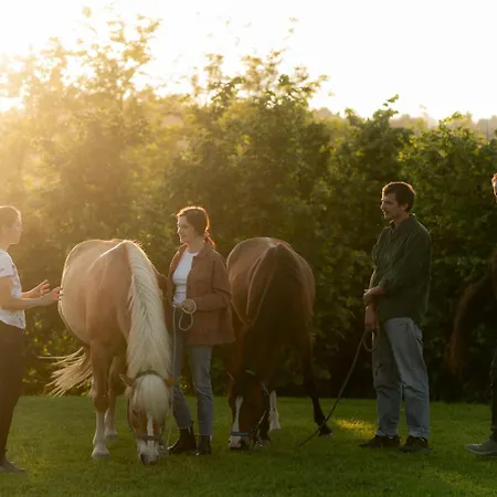 Oda ve Kahvaltı La Riunda 3*