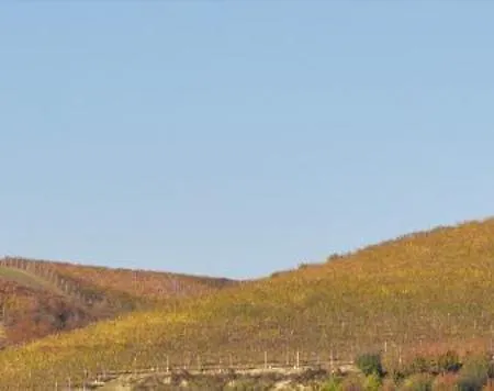 La Riunda Oda ve Kahvaltı 3*