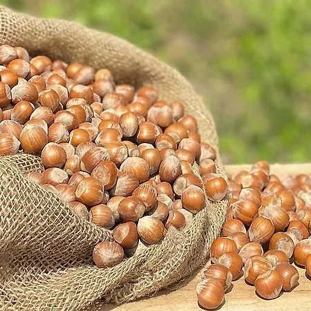 La Riunda 3* San Damiano dʼAsti