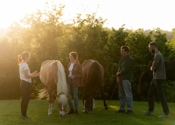 ベッド・アンド・ブレックファスト La Riunda 3*